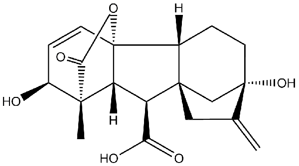 赤霉素GIBBERELLIC ACID，居然有這么神奇？